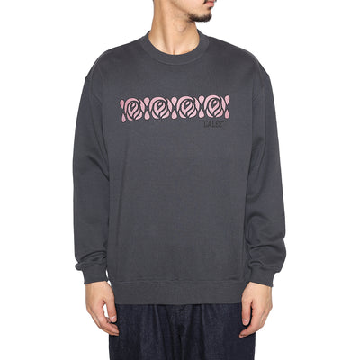 FIRST SIGHT CREW NECK SW
