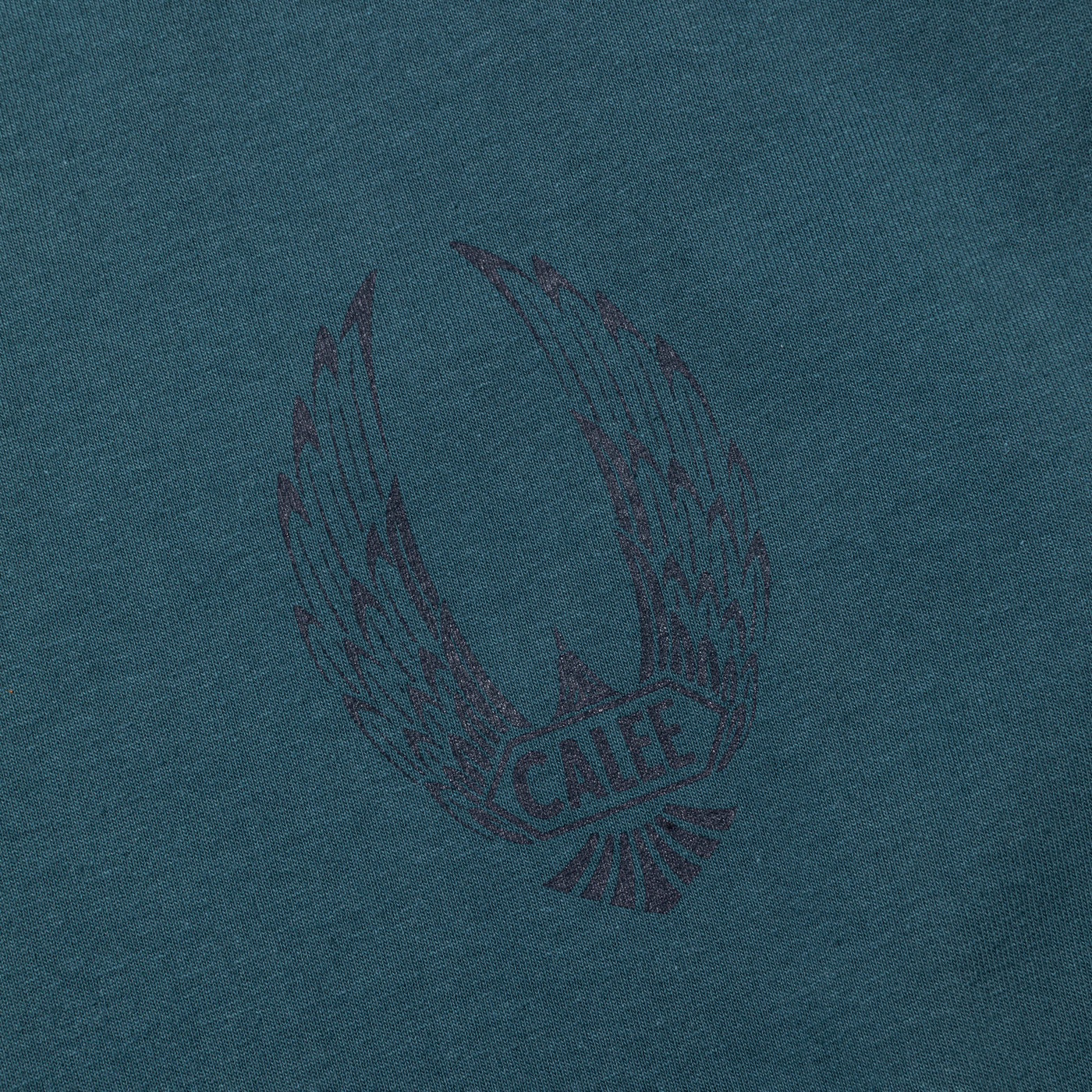 VINTAGE TYPE WING LOGO L/S TEE ＜NATURALLY PAINT DESIGN＞