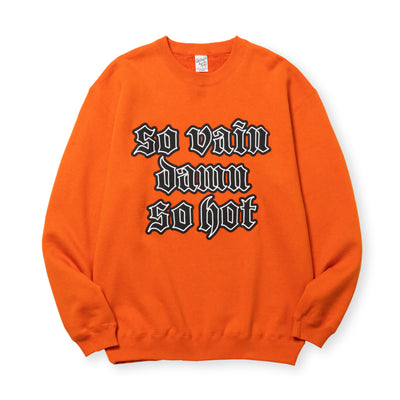 "S.V.D.S.H" CREW NECK SW ＜NATURALLY PAINT DESIGN＞